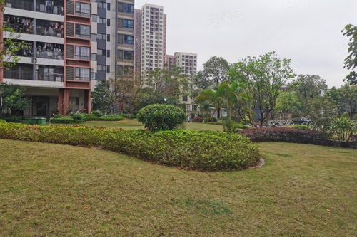 中惠松湖城深度解析 樓盤優(yōu)勢(shì)、不足與周邊中介評(píng)價(jià)指南